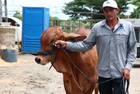 Feria Ganadera Managua 2024