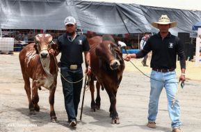Feria Ganadera Managua 2024