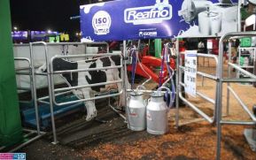 Feria Ganadera Managua 2024