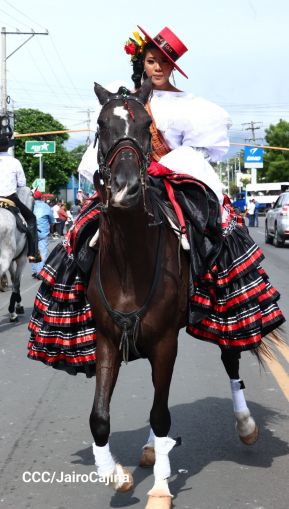 Desfile hípico en Granada para celebrar 500 años de historia