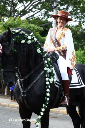 Desfile hípico en Granada para celebrar 500 años de historia