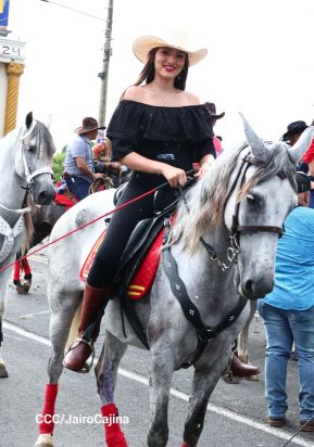 Desfile hípico en Granada para celebrar 500 años de historia