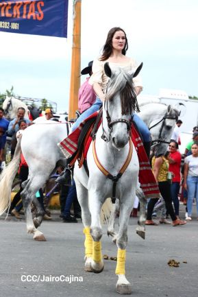 Desfile hípico en Granada para celebrar 500 años de historia