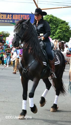 Desfile hípico en Granada para celebrar 500 años de historia