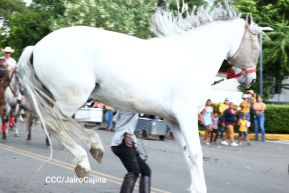 Desfile hípico en Granada para celebrar 500 años de historia
