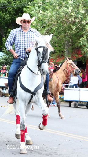 Desfile hípico en Granada para celebrar 500 años de historia