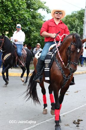 Desfile hípico en Granada para celebrar 500 años de historia