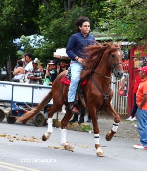 Desfile hípico en Granada para celebrar 500 años de historia