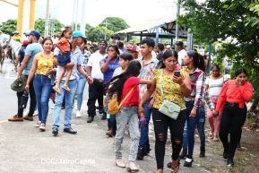 Desfile hípico en Granada para celebrar 500 años de historia