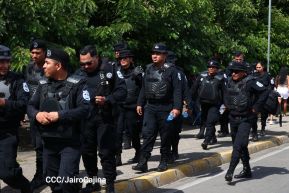 Desfile hípico en Granada para celebrar 500 años de historia