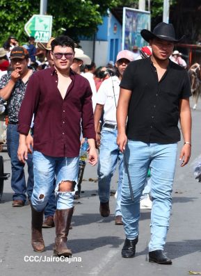 Desfile hípico en Granada para celebrar 500 años de historia