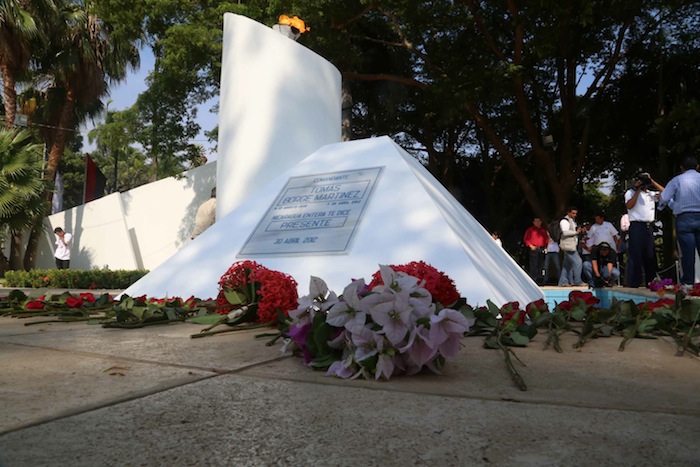 Una Flor para Tomás
