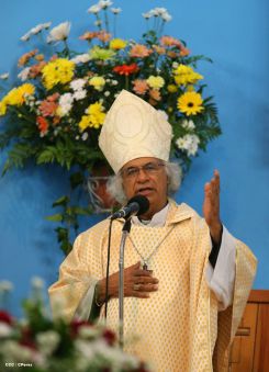 Cardenal Brenes celebra a San Antonio de Padua