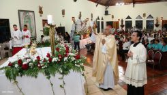 Cardenal Brenes celebra a San Antonio de Padua