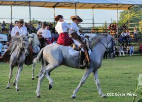 Granada celebra 500 años de fundación con Show Ecuestre e Hípica Nocturna 