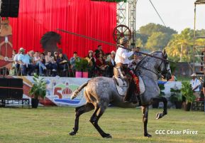 Granada celebra 500 años de fundación con Show Ecuestre e Hípica Nocturna 