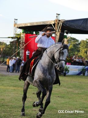 Granada celebra 500 años de fundación con Show Ecuestre e Hípica Nocturna 