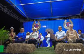 Granada celebra 500 años de fundación con Show Ecuestre e Hípica Nocturna 