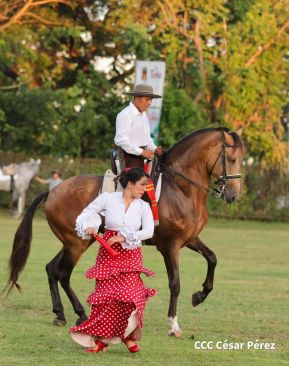 Granada celebra 500 años de fundación con Show Ecuestre e Hípica Nocturna 