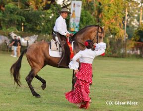 Granada celebra 500 años de fundación con Show Ecuestre e Hípica Nocturna 