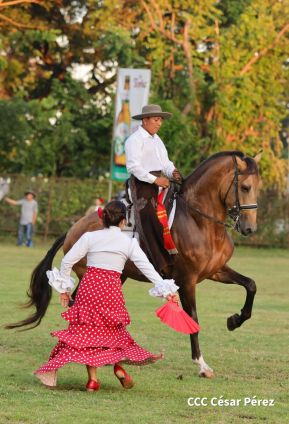 Granada celebra 500 años de fundación con Show Ecuestre e Hípica Nocturna 