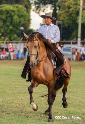 Granada celebra 500 años de fundación con Show Ecuestre e Hípica Nocturna 