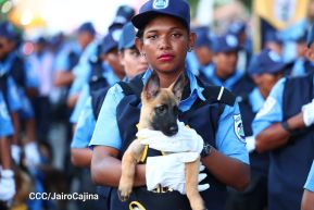 Desfile "La Paz Somos Todos" en saludo al 45 aniversario de fundación del Ministerio del Interior y la Policía Nacional