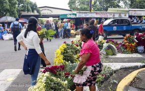 Familias nicaragüenses visitan a sus files difuntos en los distintos cementerios del país