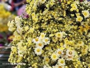 Familias nicaragüenses visitan a sus files difuntos en los distintos cementerios del país