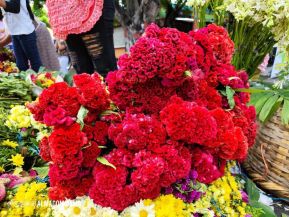 Familias nicaragüenses visitan a sus files difuntos en los distintos cementerios del país