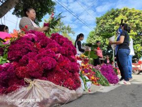 Familias nicaragüenses visitan a sus files difuntos en los distintos cementerios del país