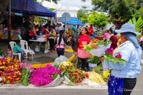 Familias nicaragüenses visitan a sus files difuntos en los distintos cementerios del país