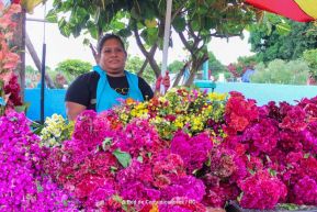 Familias nicaragüenses visitan a sus files difuntos en los distintos cementerios del país