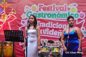 Festival Gastronómico y Tradiciones Navideñas de Nuestros Pueblos 2024