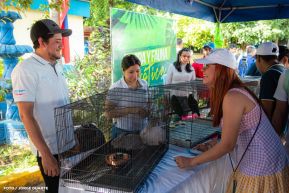 Inicio del Ciclo de Estudio 2025 en Centros de Educación Técnica y Tecnológica