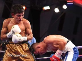 Velada boxística “La Venganza” en el Centro de Convenciones Olof Palme