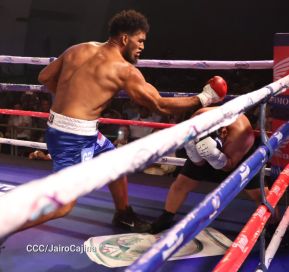 Velada boxística “La Venganza” en el Centro de Convenciones Olof Palme