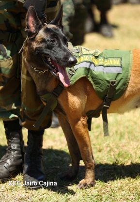 Acto Nacional de cierre del Plan de Protección y Seguridad a la Cosecha Cafetalera del Ciclo Productivo 2024–2025