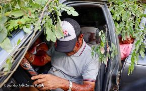 Segundo Ejercicio Nacional de Preparación para Proteger la Vida en Situaciones Multiamenazas en Nicaragua