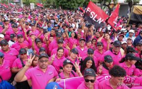 Caminata “Siempre 19, Siempre al Frente, Caminando en Victorias, Adelante con Daniel”