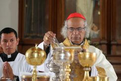 Cardenal Leopoldo Brenes participa de Encuentro Anual de Catequistas