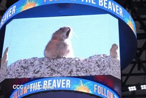 AmeriCup 2025: Managua sede del torneo del mejor baloncesto del continente