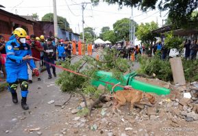 Tercer Ejercicio Nacional de Preparación para Proteger la Vida ante Situaciones Multiamenazas 2025