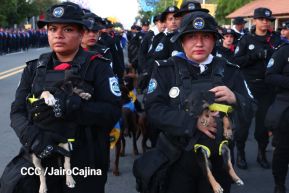 Desfile Policial “Unidad, Fuerza y Victorias” en la Avenida de Bolívar a Chávez