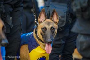 Desfile Policial “Unidad, Fuerza y Victorias” en la Avenida de Bolívar a Chávez