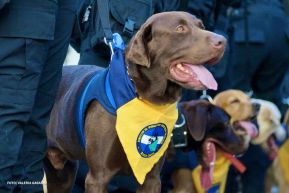 Desfile Policial “Unidad, Fuerza y Victorias” en la Avenida de Bolívar a Chávez