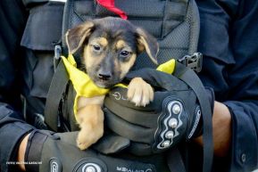 Desfile Policial “Unidad, Fuerza y Victorias” en la Avenida de Bolívar a Chávez