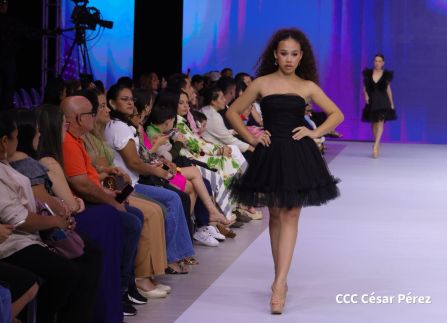 Inicio de la 14 Edición de Nicaragua Diseña "Talento que Conecta, Creatividad que Transforma"