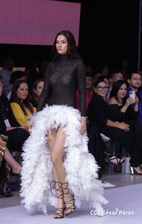 Inicio de la 14 Edición de Nicaragua Diseña "Talento que Conecta, Creatividad que Transforma"