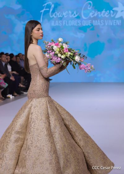 Inicio de la 14 Edición de Nicaragua Diseña "Talento que Conecta, Creatividad que Transforma"